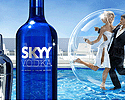 ���䴴��������-SKYY ���