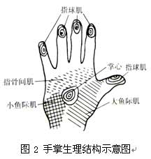 人体参数与机床操纵装置设计