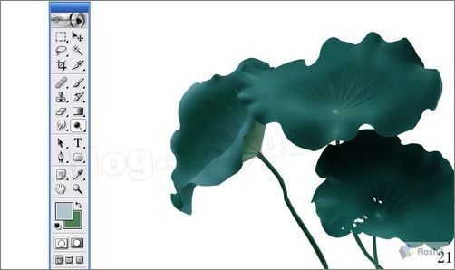 photoshop鼠绘精美荷花教程 photoshop鼠绘精美荷花教程