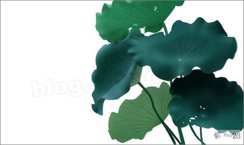 photoshop鼠绘精美荷花教程 photoshop鼠绘精美荷花教程