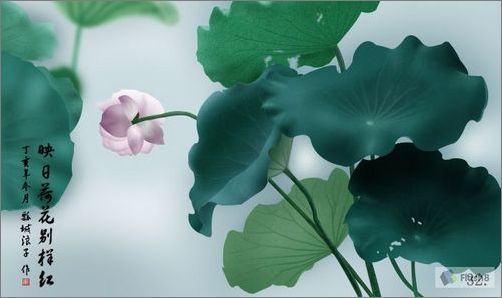 photoshop鼠绘精美荷花教程 photoshop鼠绘精美荷花教程