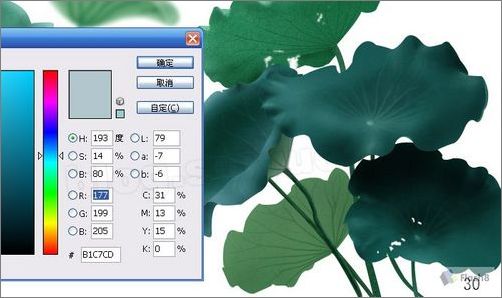 photoshop鼠绘精美荷花教程 photoshop鼠绘精美荷花教程