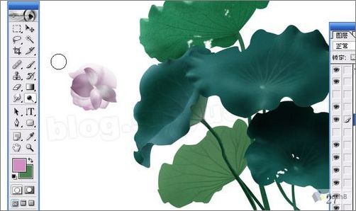 photoshop鼠绘精美荷花教程 photoshop鼠绘精美荷花教程