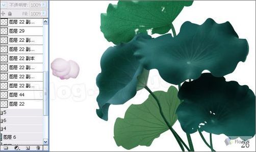 photoshop鼠绘精美荷花教程 photoshop鼠绘精美荷花教程