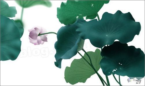 photoshop鼠绘精美荷花教程 photoshop鼠绘精美荷花教程