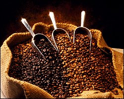 coffee007.jpg