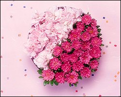 InFlower_1001.jpg