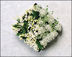 InFlower_1011.jpg