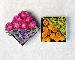 InFlower_1005.jpg