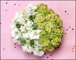 InFlower_1012.jpg