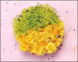 InFlower_1002.jpg