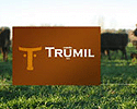 TRUMILţ̹˾VI