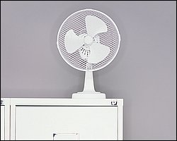 office_0003.jpg