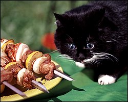 Barbecue17.jpg