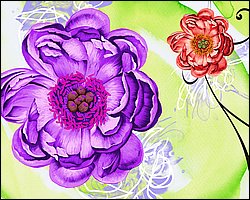 HCHH_1007.jpg