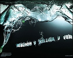 cy_003.jpg
