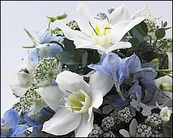 wedding008.jpg