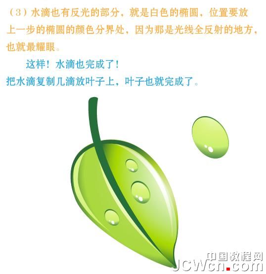 Illustratorʵ���̳̣�����Ư�����»�����_�й��̳���