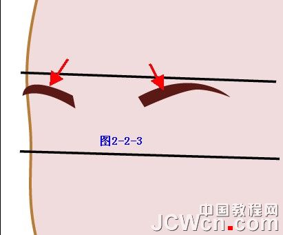 Illustrator���̳̣��廭����ϵ��֮�崿��Ů�Ļ���_�й��̳���