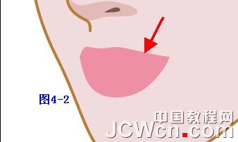 Illustrator���̳̣��廭����ϵ��֮�崿��Ů�Ļ���_�й��̳���