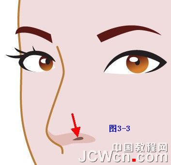 Illustrator���̳̣��廭����ϵ��֮�崿��Ů�Ļ���_�й��̳���