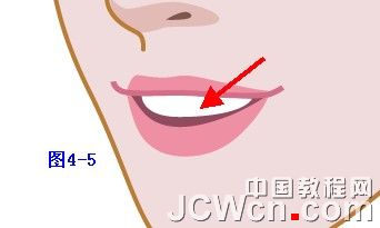 Illustrator���̳̣��廭����ϵ��֮�崿��Ů�Ļ���_�й��̳���