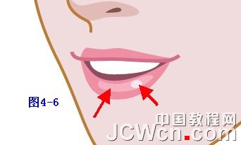Illustrator���̳̣��廭����ϵ��֮�崿��Ů�Ļ���_�й��̳���