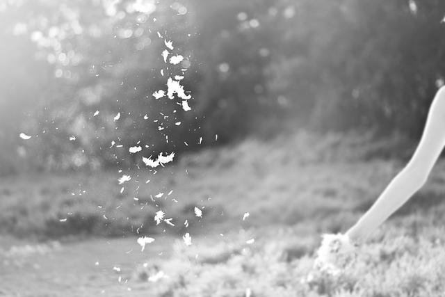 wind-7.jpg
