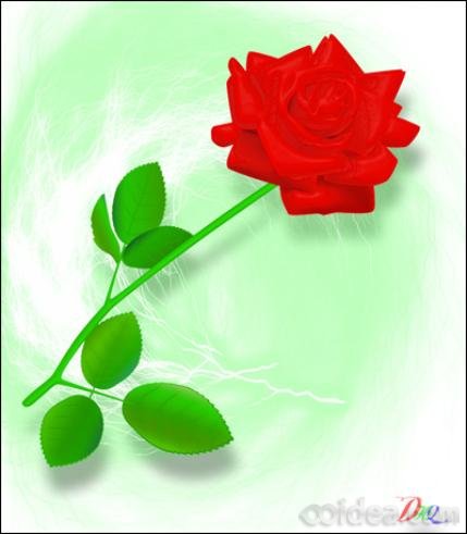 Illustrator绘制漂亮的玫瑰花教程 教程 创意在线