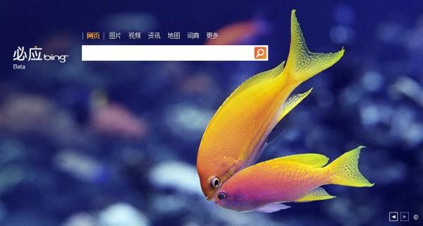 1312764814165_bing-logo-qixi-20110806-600x320.jpg