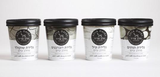 lovely-package-adir-dairy6-e1313298585224.jpg